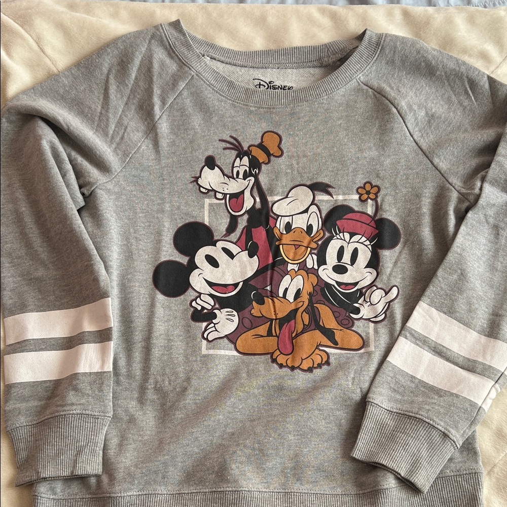 Disney Gray Sweatshirt with Classic Characters. Disneyland. Disneyworld